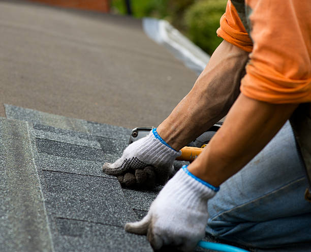 Roof Gutter Cleaning in Iraan, TX