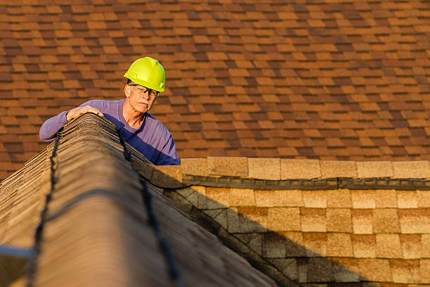 Best Roof Gutter Cleaning  in Iraan, TX