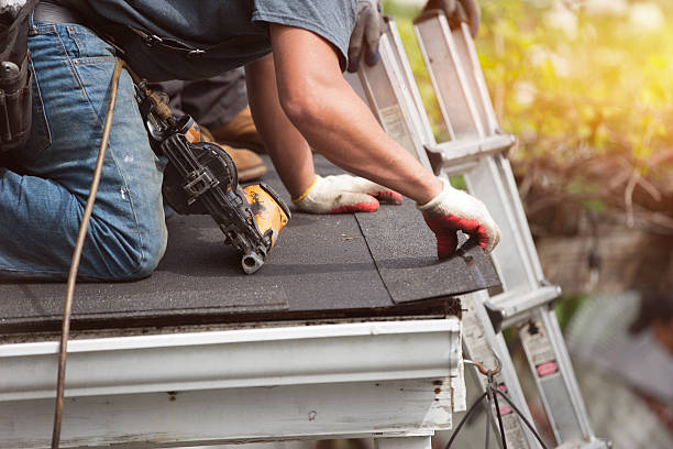Best Gutter Installation and Roofing  in Iraan, TX